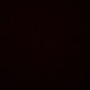 Meet your Posher, Sal